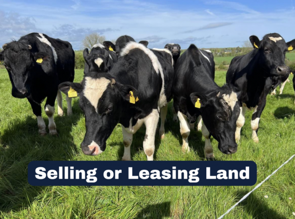 Selling or Leasing Land in Kerry